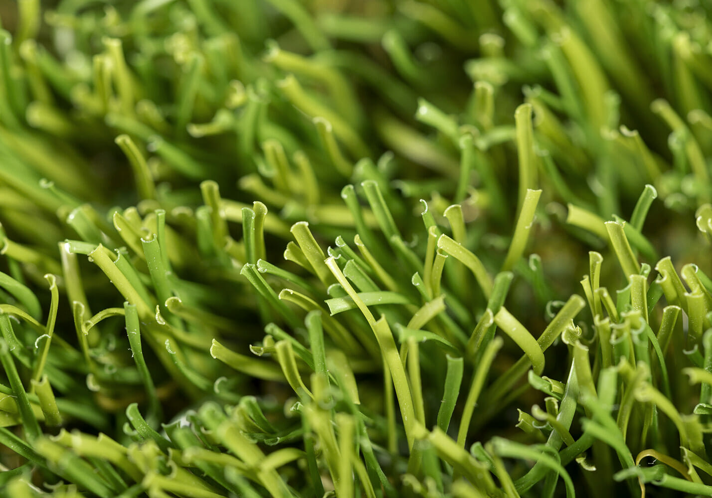 Cesped-artificial-Master-02